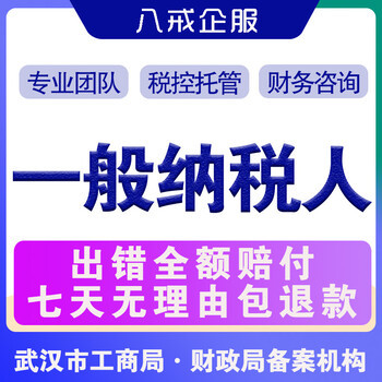 武漢公司注冊(cè),代理記賬,稅務(wù)咨詢(xún)