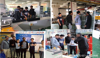 海外客商青睞武漢三新電力，高端產品斬獲國際訂單