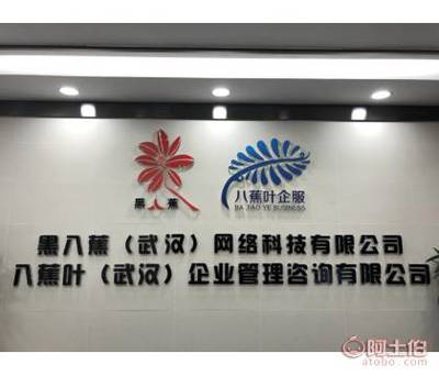 八蕉葉 武漢稅務代理的專業伙伴，助力企業穩健成長